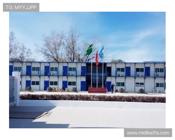 凯发k8官网登陆：登录流程全攻略帮助新手快速上手