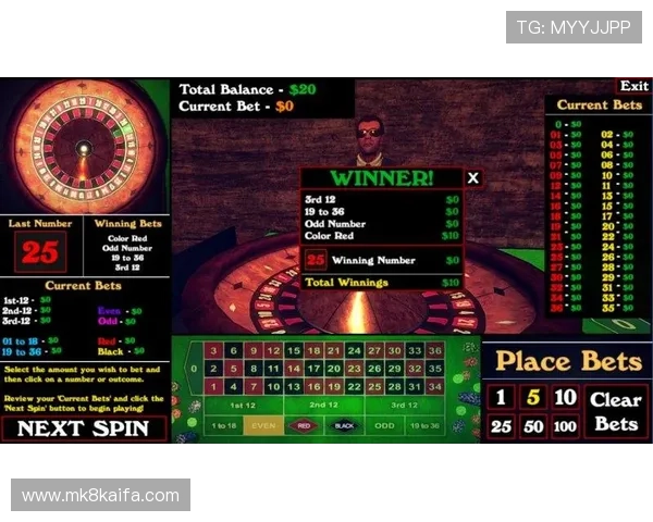 轮盘抽奖模拟器适用范围全面介绍帮助玩家模拟不同游戏中的抽奖场景